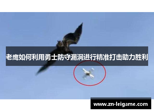 老鹰如何利用勇士防守漏洞进行精准打击助力胜利