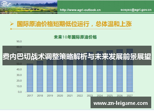 费内巴切战术调整策略解析与未来发展前景展望