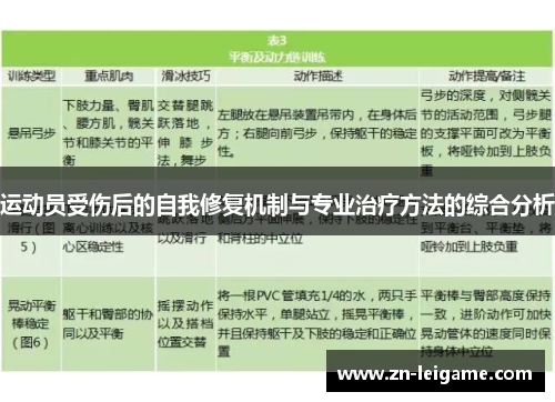 运动员受伤后的自我修复机制与专业治疗方法的综合分析